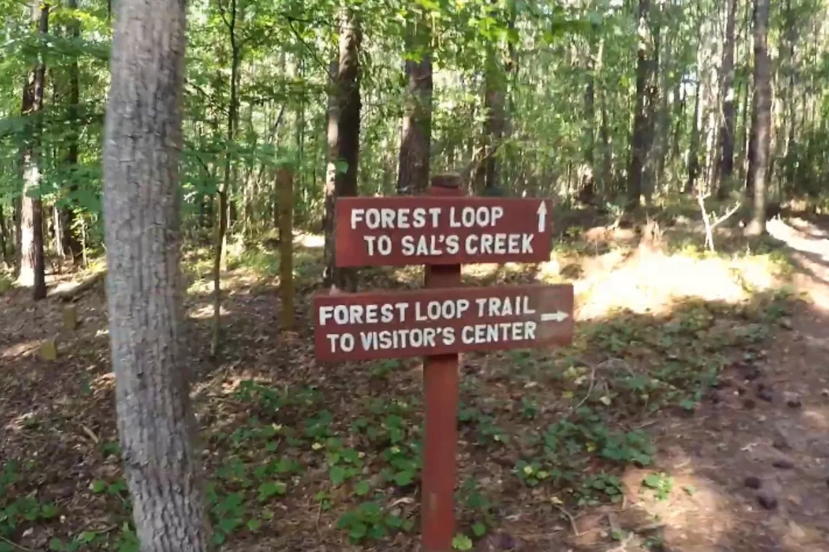 Wooded nature trail in Johns Creek, GA, near homes served by an emergency plumber